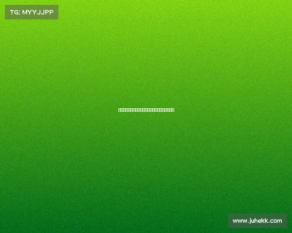 赛季回顾与展望：全面解析各队表现与未来发展趋势