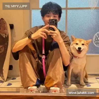 凤腾兴